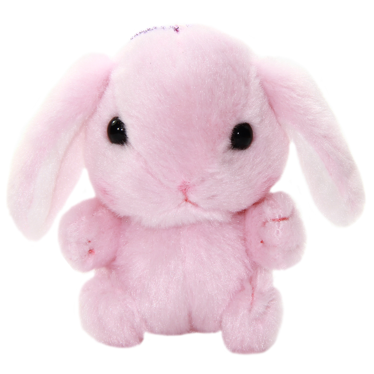 amuse pink bunny