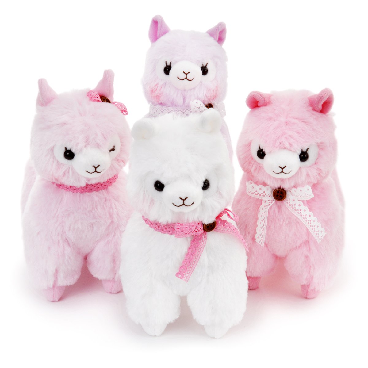 amuse collection alpacasso