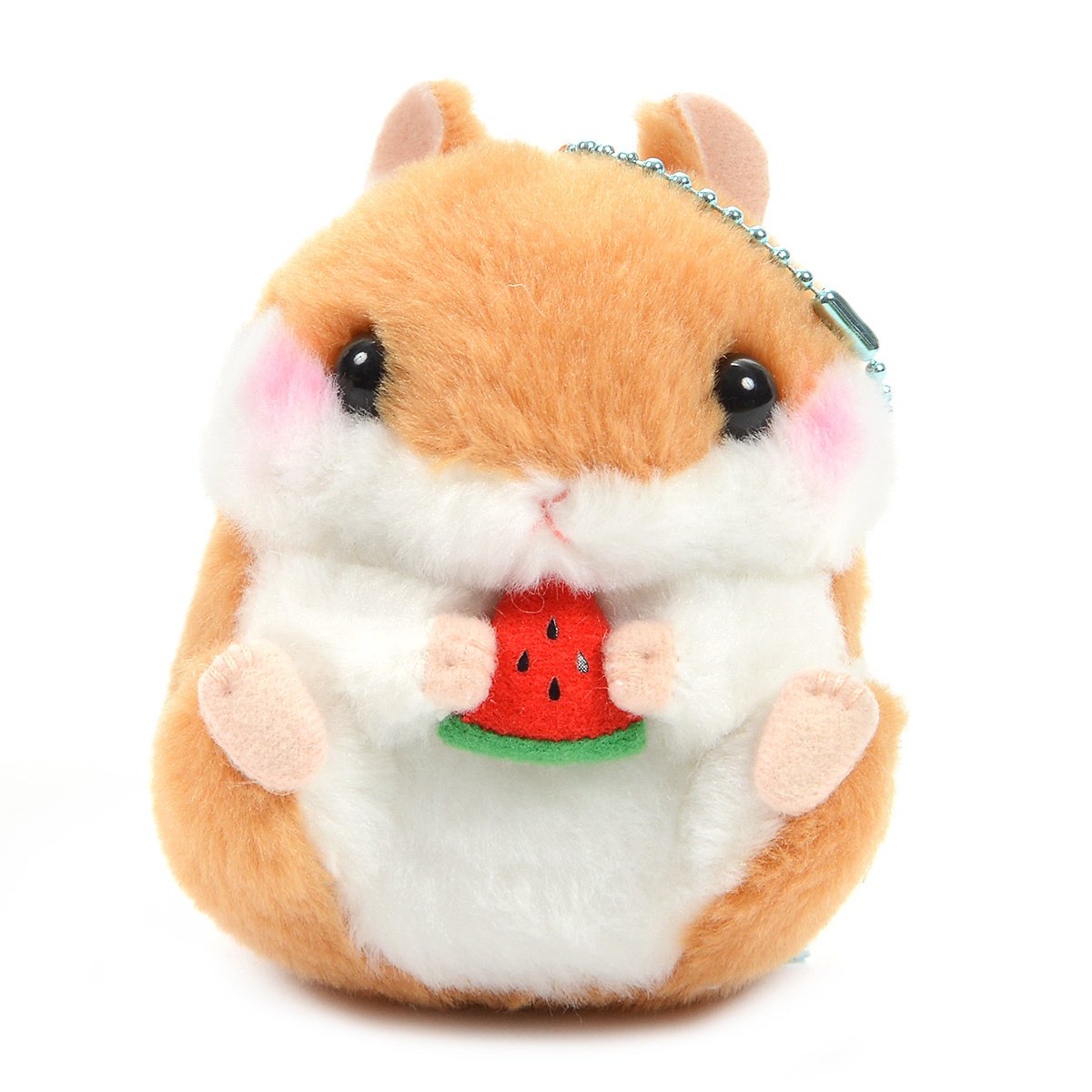 coroham coron hamster