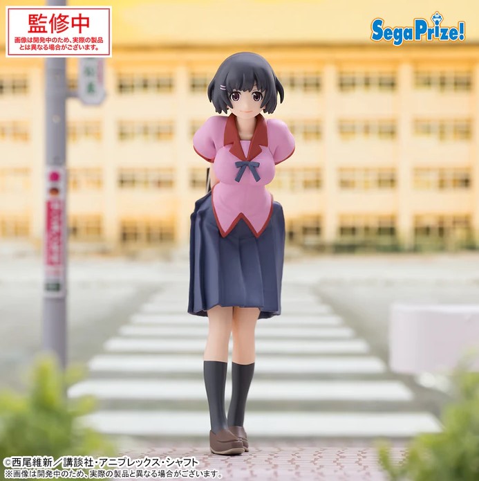 Hanekawa Tsubasa Figure, Bakemonogatari, Sega