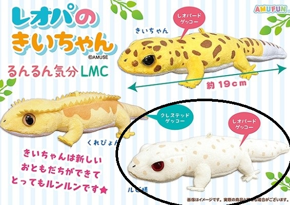 Albino Gecko Plushie Keychain Size 7 Inches Amuse - White