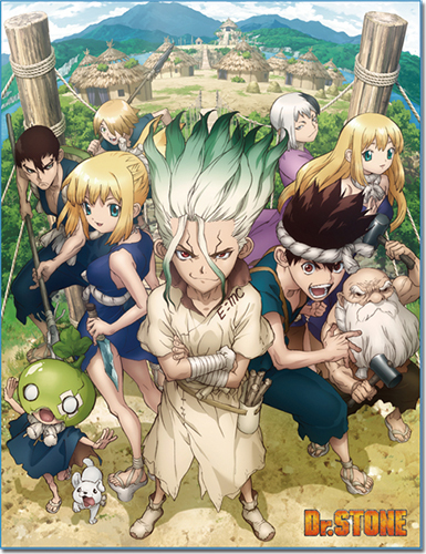Dr Stone Throw Blanket