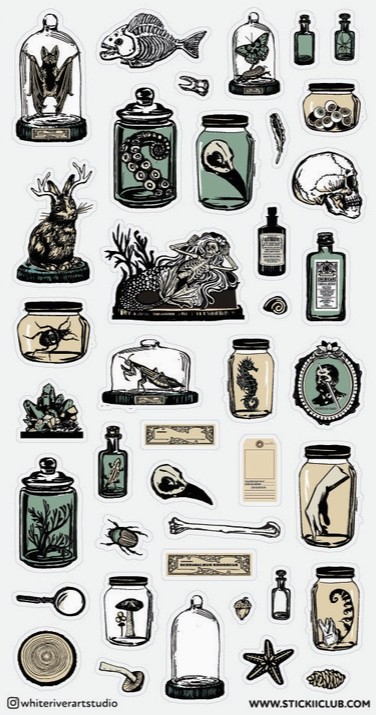 Curious Specimens Sticker Sheet