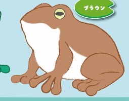 6 Inches Plush Frog