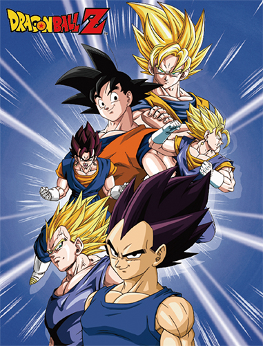 Dragon Ball Z Group Throw Blanket