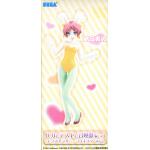 Minami Shimada, Ex Figure, bunny ver. Vol. 2, Baka To Test To Shoukanjyuu, Sega